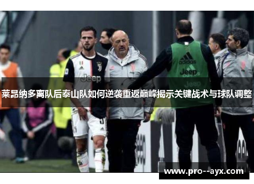 莱昂纳多离队后泰山队如何逆袭重返巅峰揭示关键战术与球队调整