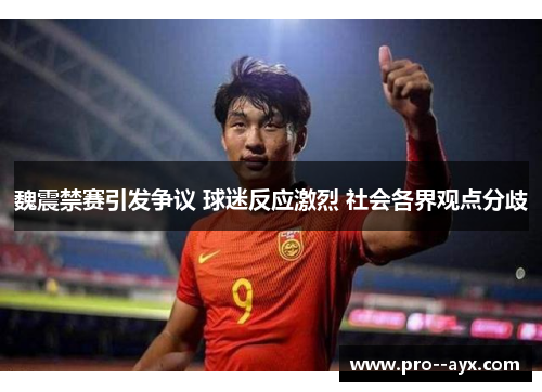魏震禁赛引发争议 球迷反应激烈 社会各界观点分歧 魏震禁赛引发争议 球迷反应激烈 社会各界观点分歧