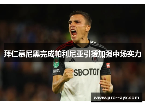 拜仁慕尼黑完成帕利尼亚引援加强中场实力 拜仁慕尼黑完成帕利尼亚引援加强中场实力