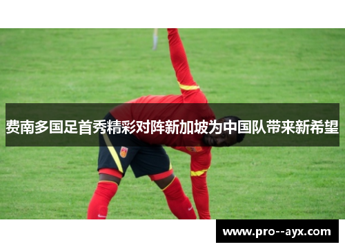 费南多国足首秀精彩对阵新加坡为中国队带来新希望 费南多国足首秀精彩对阵新加坡为中国队带来新希望