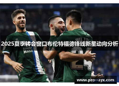 2025夏季转会窗口布伦特福德锋线新星动向分析 2025夏季转会窗口布伦特福德锋线新星动向分析