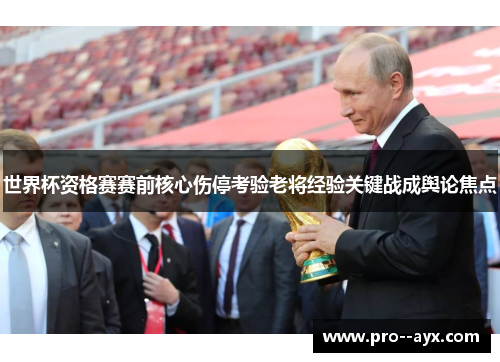 世界杯资格赛赛前核心伤停考验老将经验关键战成舆论焦点
